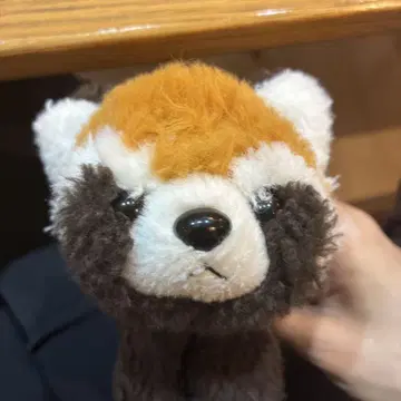 렛서 씨입니다.