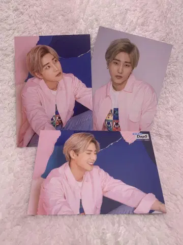 Day6 사진 세트 용케이