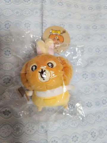 치이카와 (먼작귀) 분장 재미있어요! 마스코트 호박 토끼