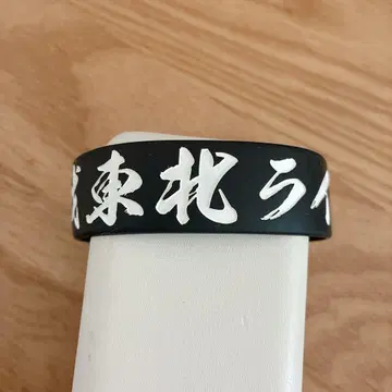 도호쿠 라이브하우스 대작전 러버 밴드