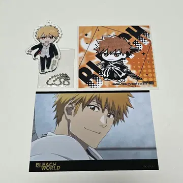 BLEACH 쿠로사키 이치고 아크링 키링 브로마이드