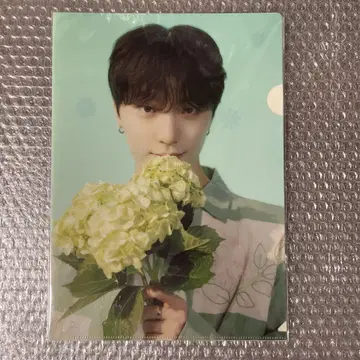 SEVENTEEN 디노 HANABI 클리어 파일 2장입