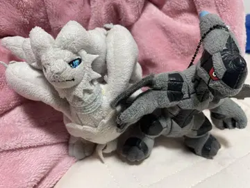 포켓몬 제크롬 레시라무 봉제 인형 세트