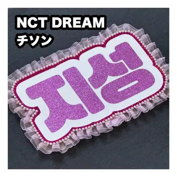 치성 NCT DREAM 네임 보드 부채 문자 네무보