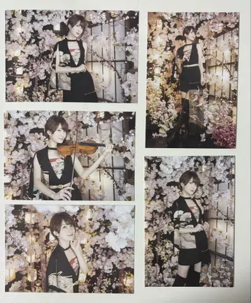 Ayasa 브로마이드 5장 세트
