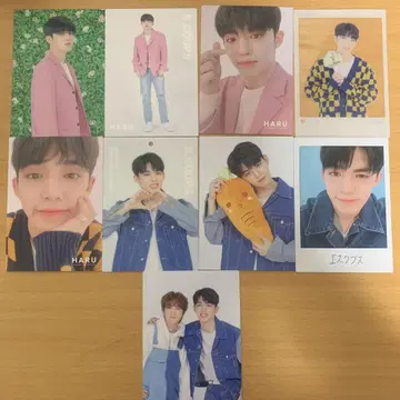 세븐틴 하루 에스크 트레이딩 카드