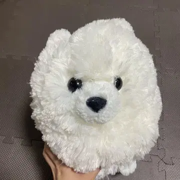포메라니안 빅 봉제 인형