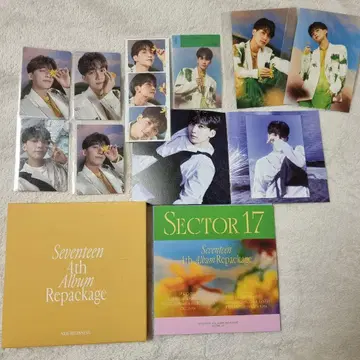 정한 sector17 리파케 트레이딩 카드 정리