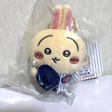 치이카와 mlb 컵스 마스코트 치이카와