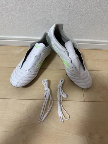 모나르시다 네오 3 프로