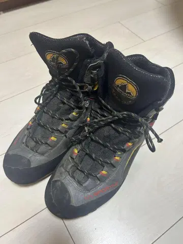 SPORTIVA TRANGO TOWER GTX 43
