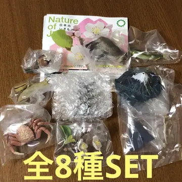 Nature of Japan 일본의 생물 03 전 8종 SET