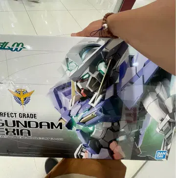 PG GUNDAM EXIA 1/60 엑시아
