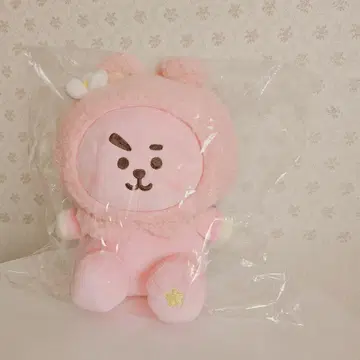BTS 봉제 인형 COOKY