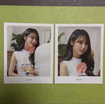 MAMAMOO 시그리 엽서 문병