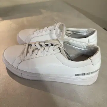 P-31 ORIGINAL BLACKLABEL 5.5CM 스니커즈