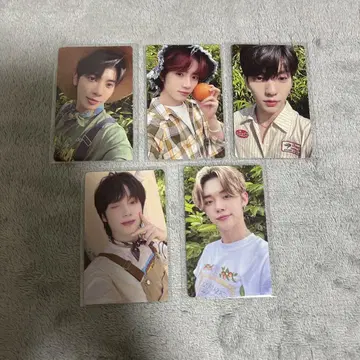 TXT Midsummer 트레이딩 카드