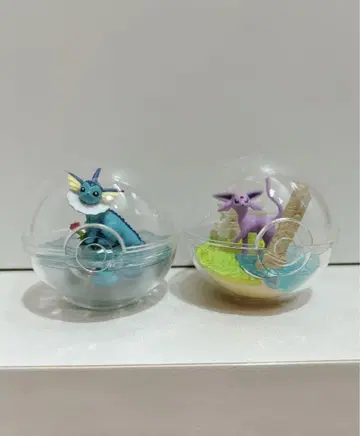 포켓몬 테라리움 컬렉션 3 과 5