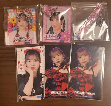 모바가챠 안쥬르므 타메나가 시온