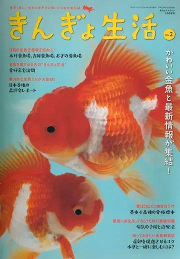 금붕어 생활 2