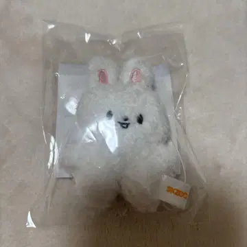 리빗 마이크로 키링