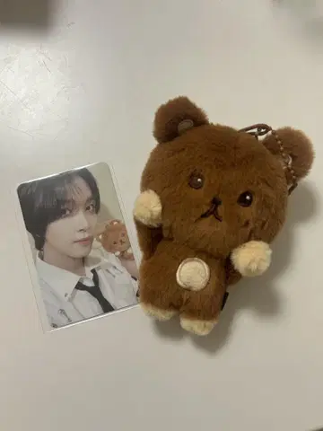 NCT DREAM 헤찬 봉제 인형 MD 곰 트레이딩 카드