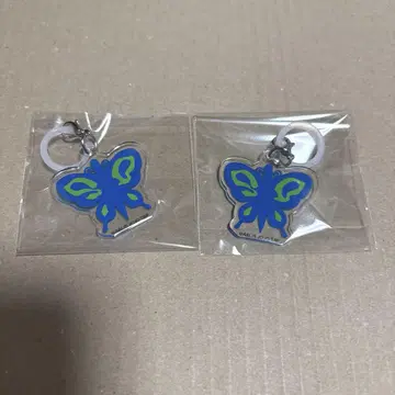 죠죠 메지루시 참 쿠죠 죠린