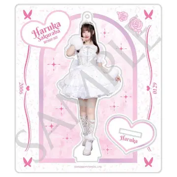생일 의상 2025edition 사쿠라바 하야카 아크릴 스탠드