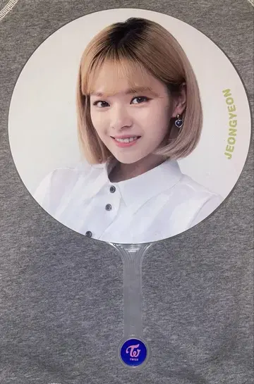 TWICELAND in Korea 부채 정연
