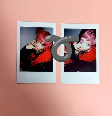 더 매드나 료타 씨