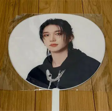 P1Harmony 피원 펜미 테오 부채