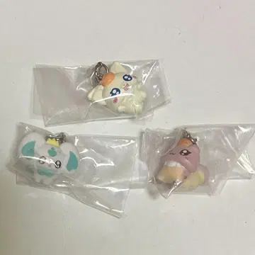 푸치쿠아 메지루시 액세서리 코코 너트 폴른