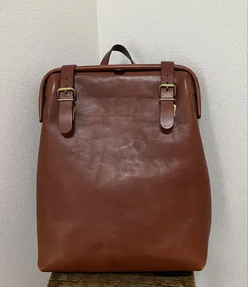 헤르츠 럭스 백팩