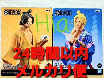 꿈의 한 장 magazine figure 사보 에이스 피규어 원피스