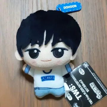TWS SD 인형 vol.2 도훈 남코 한정 봉제 인형