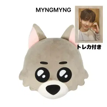 BOYNEXTDOOR 푸넥도 쿠션 명명 재현