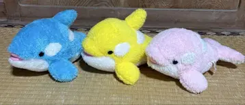 샤치 봉제인형 카모가와 씨월드