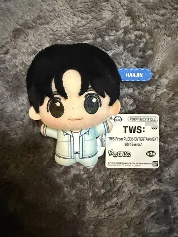TWS SD 인형 한진
