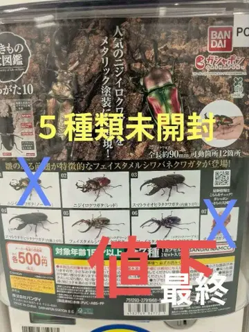 생물대도감 사슴벌레10 왕사슴벌레 캡슐판 (5종류 세트)
