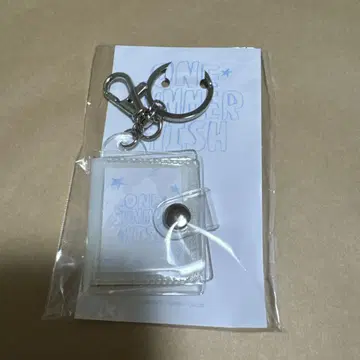 nctwish 미니 사진 키링 시온