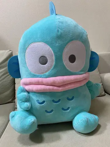 한교동 초초 BIG 봉제 인형 카시게 포즈