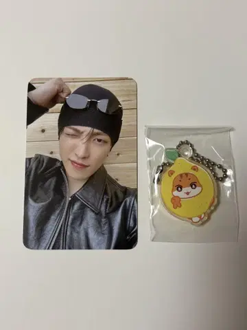 홍준 세트