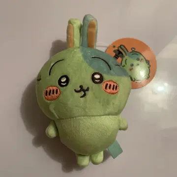 치이카와 (먼작귀) 분장 재미있어요! 마스코트 좀비 토끼