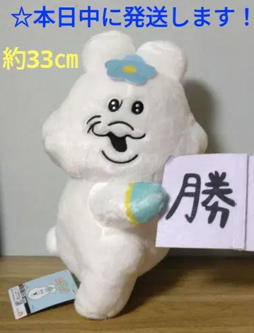 [ 짱구잠 마카롱 법률 사무소 BIG 봉제 인형 [ 짱구잠 ] ]