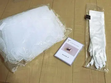 결혼식/베일/글로브/포즈 카드