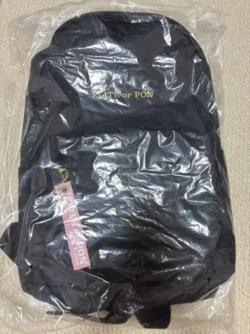 사쿠라 미코와 커플 백팩