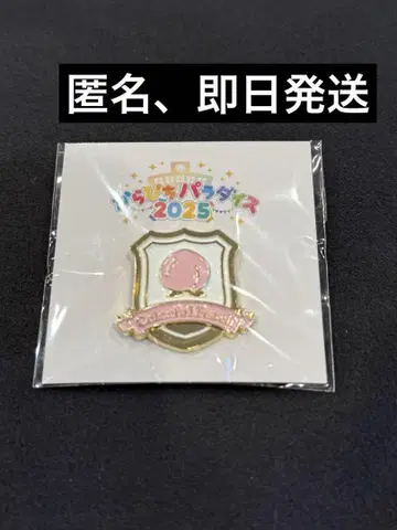 새상품 컬러풀 피치 카라피치 파라다이스 2025 모티브 핀 배지