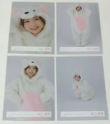 타니구치 아이리 사쿠라자카46 동물 인형옷 컴프