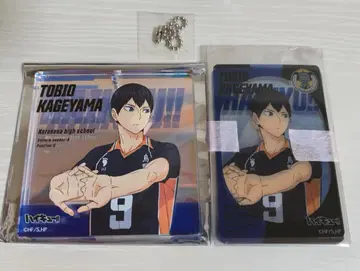 하이큐 오로라 블로키 카게야마