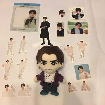 드림보이 덤 포함 와타나베 쇼타 봉제 인형/마스코트